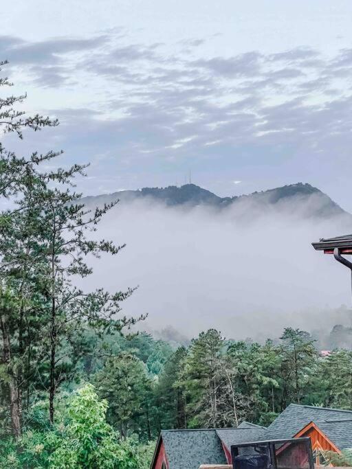 Indoor Heated Pool Hot Tub Cabin سيفيرفيل المظهر الخارجي الصورة