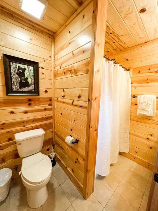 Indoor Heated Pool Hot Tub Cabin سيفيرفيل المظهر الخارجي الصورة